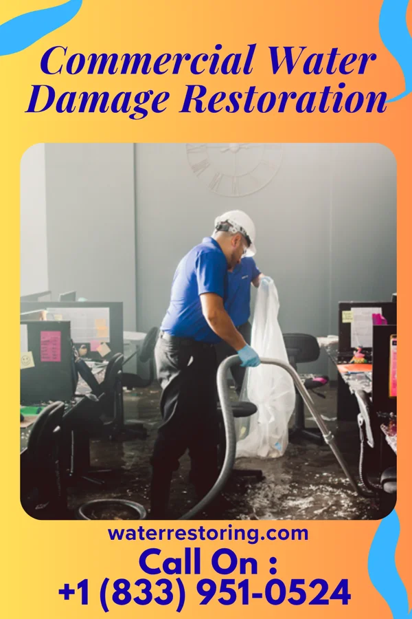 Commercial Water Damage Restoration in Rosepine, LA