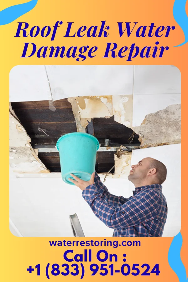 Roof Leak Water Damage Repair in Rosepine, LA