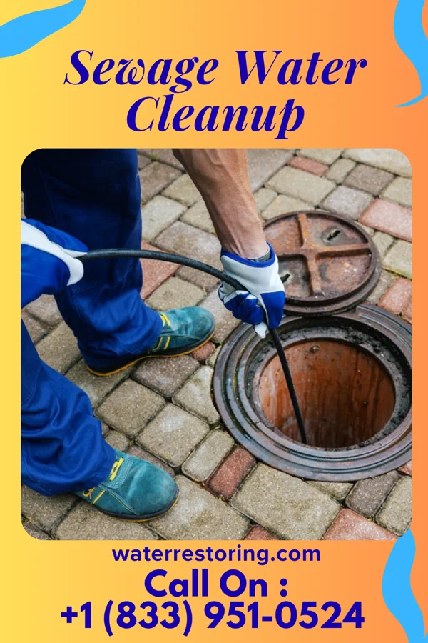 Sewage Water Cleanup in Rosepine, LA